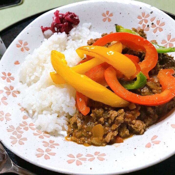 トマト缶で作る無水キーマカレー